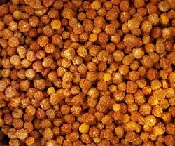 Tørket Aji Charapita